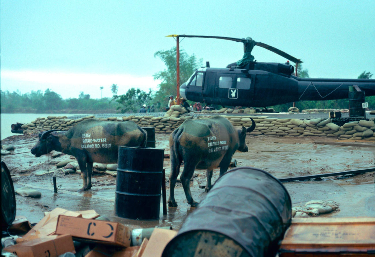 #40 The ‘Apocalypse Now’ film set in the Philippines, 1978, featuring carabaos, oil drums, sandbags, and a military helicopter with the Playboy logo.