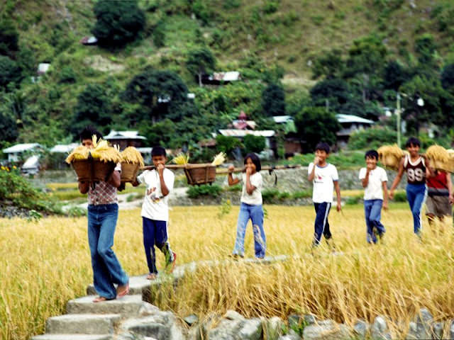 #13 Bontoc, Philippines, 1980.