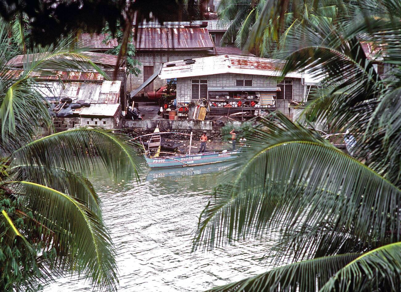 #50 Riverbank houses seen through palm trees, 1981.
