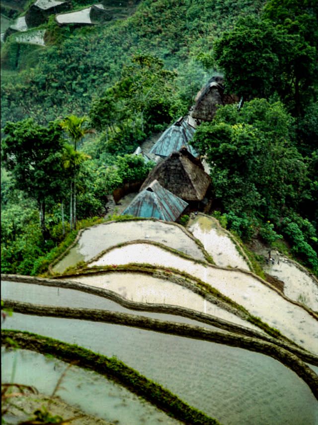 #5 Banaue Rice Terraces, Philippines, from December 1980.