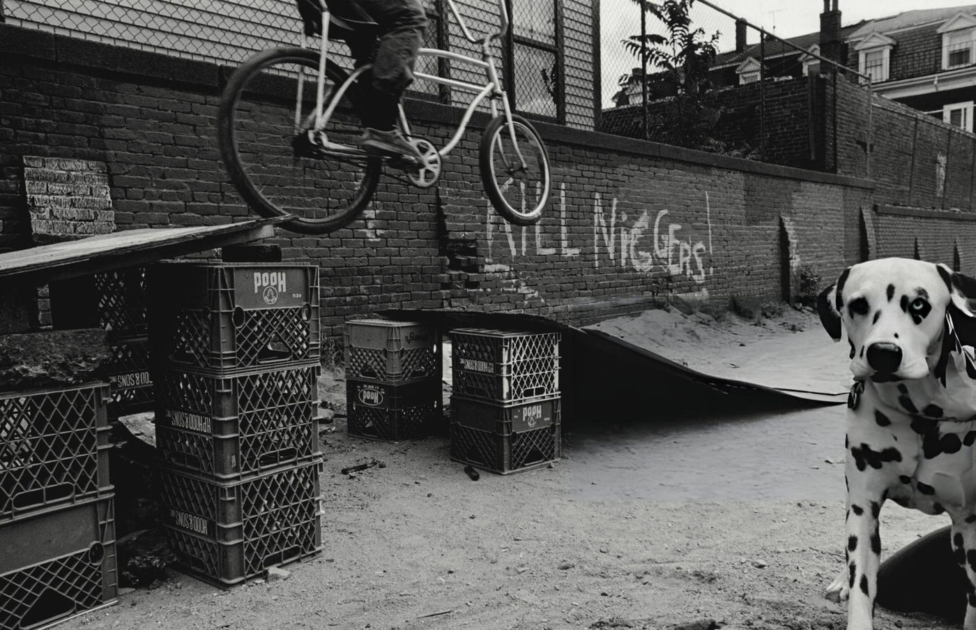 #15 A dalmatian in an alley with a child riding a bicycle in the background, South Boston, 1975.