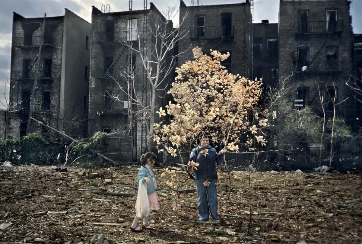 #2 Magnolia Tree Gates Ave, Bushwick, Brooklyn, 1983