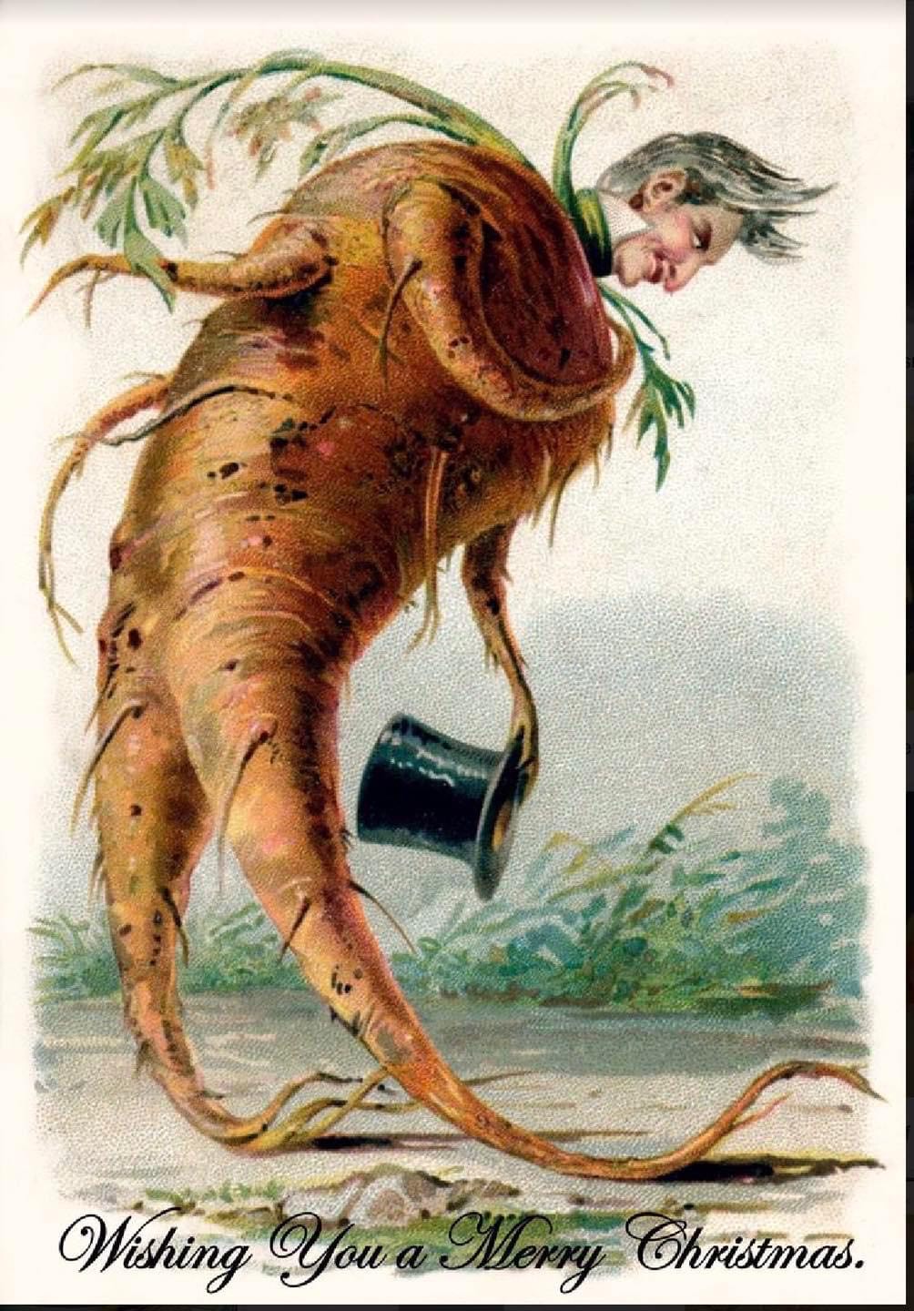Hilariously Bizarre Christmas Cards from the Victorian Era featuring Animals Artworks