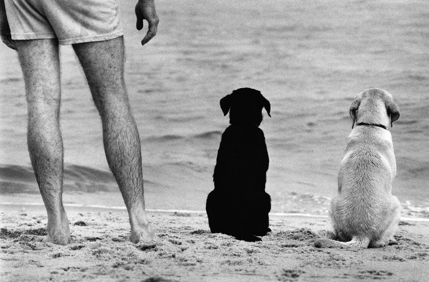 #18 Amagansett, New York, 1990