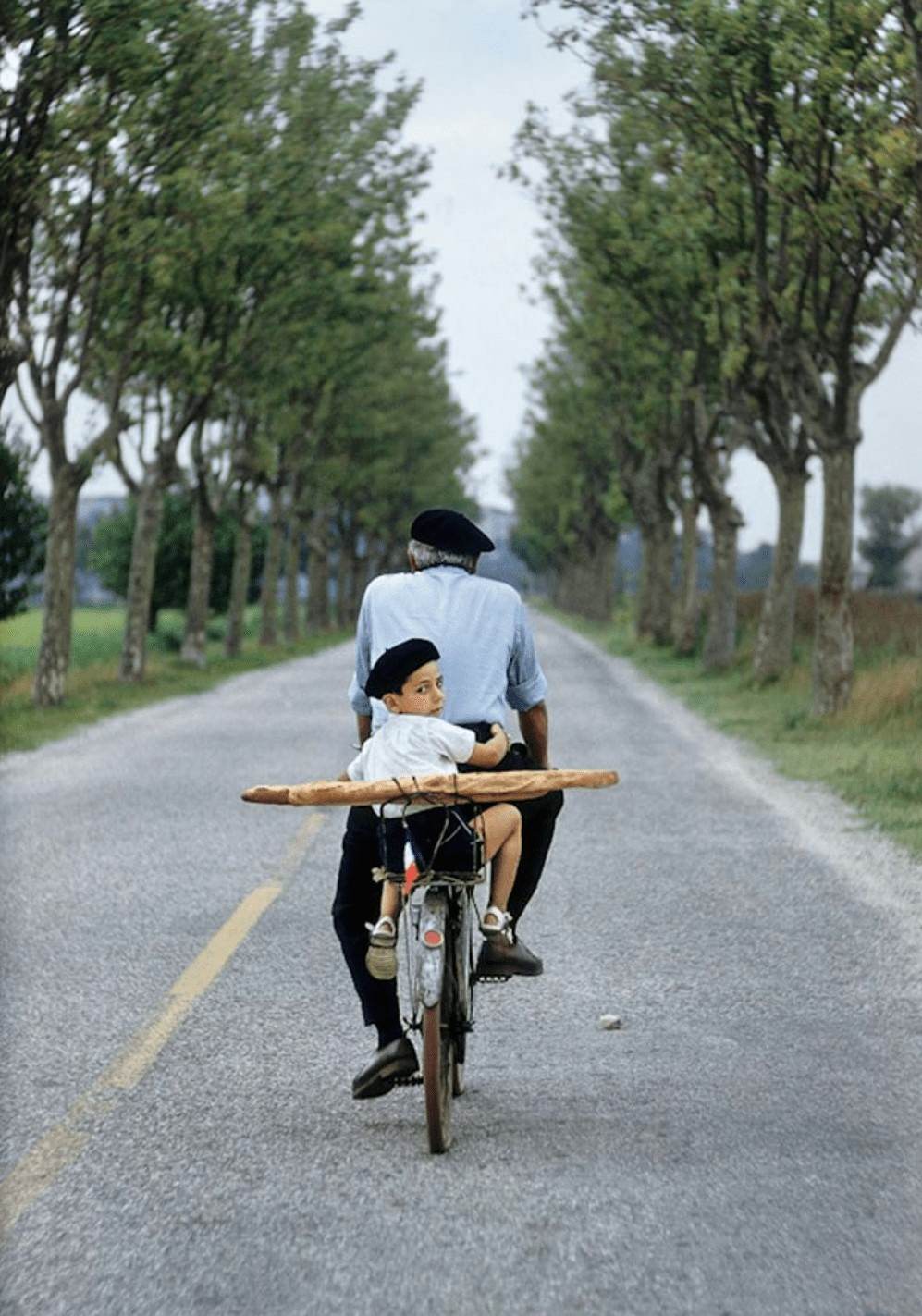 #2 Provence, France, 1955