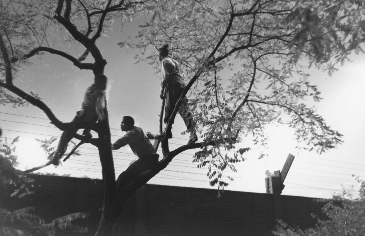 #37 Schenely Park at night. Pittsburgh, Pennsylvania, 1950