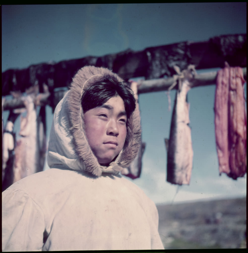 #32 Inuit boy [Saviarjuk Usuarjuk] in front of rack of drying fish, Ivujivik, Quebec, 1951