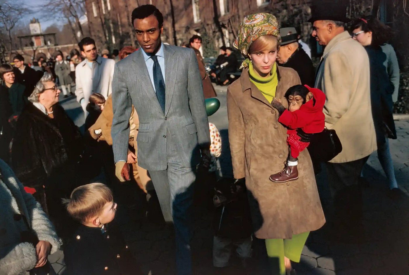 #6 Central Park Zoo, New York City, 1967