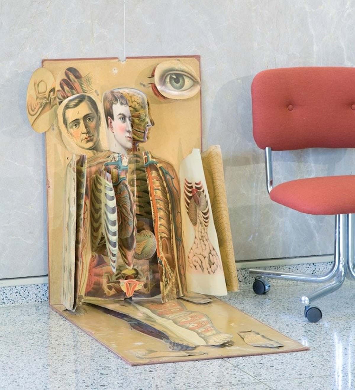 White’s Physiological Manikin (1886) James T. White &; Co.
