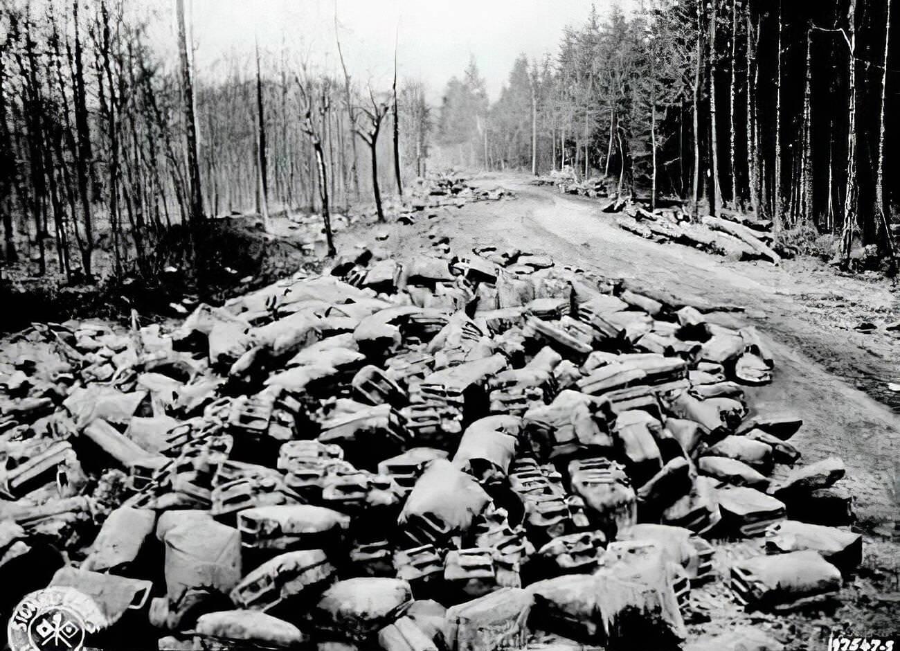 #66 The Battle of the Bulge, 1944-1945.