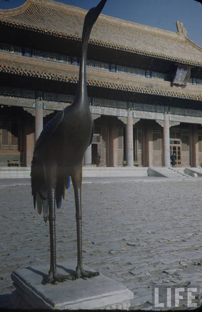 #19 Hall of Supreme Harmony