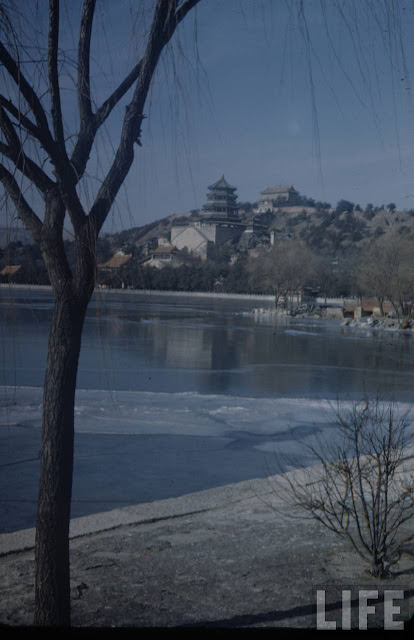 #41 Summer Palace