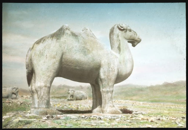 #10 The marble statue of a standing camel on the Sacred Way of Ming Tombs