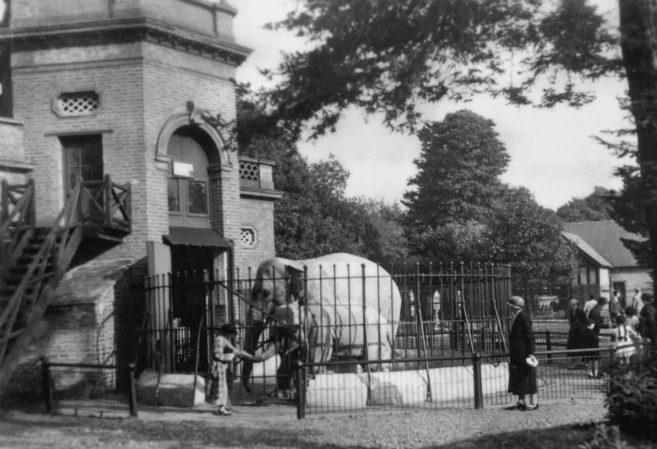 #13 Elephant House, Zoological Gardens, Phoenix Park, Dublin, 1925.