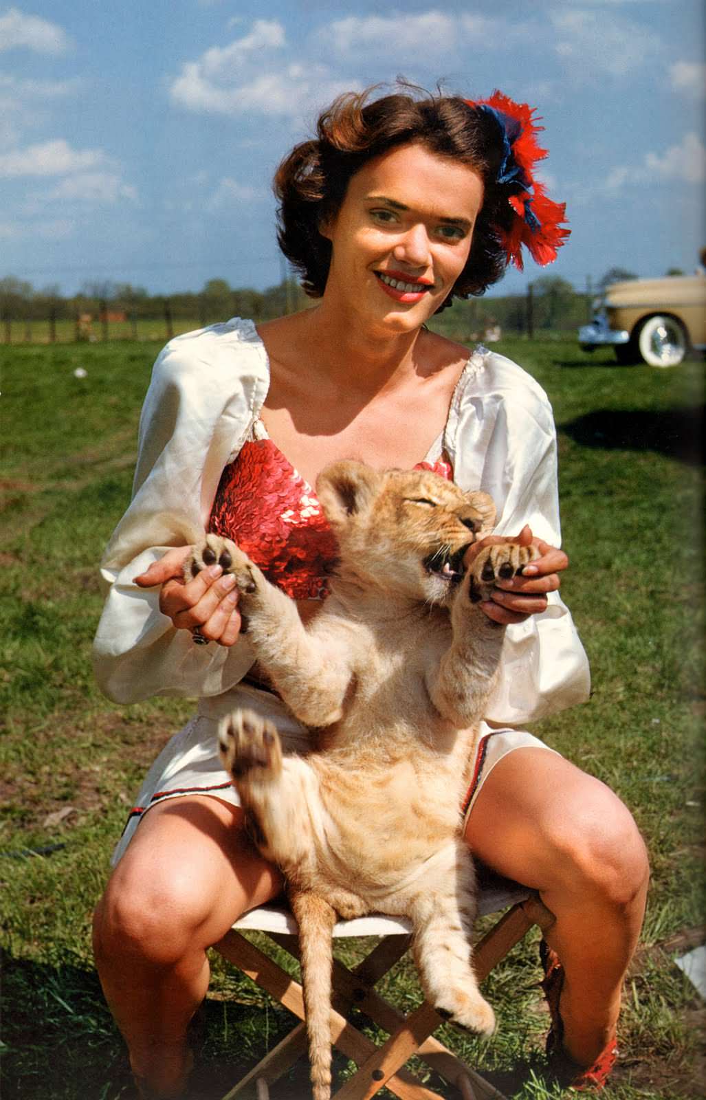 #11 dailey bros circus, 1950