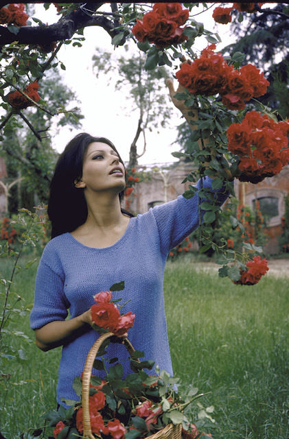 #16 Sophia Loren at her Italian villa, 1964.