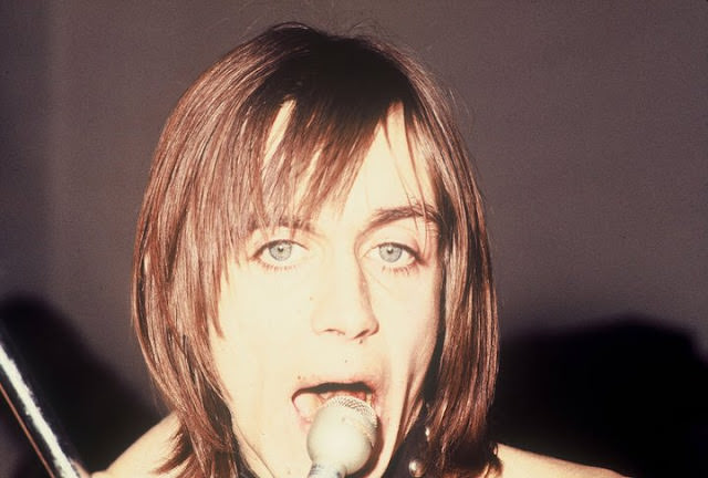 Iggy and the Stooges Invade Farmington High: A Night of Pure Punk Rock Chaos in Photos Music