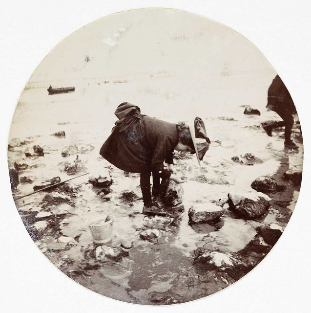 #2 Girl looking in a rock pool