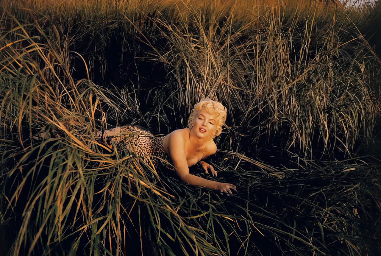 Intimate and Candid Marilyn Monroe through the Lens of Eve Arnold Celebrities