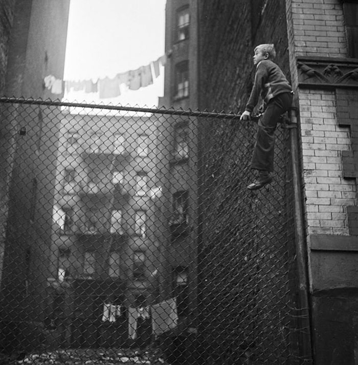 #7 Shoe shine boys on a fence, 1947.