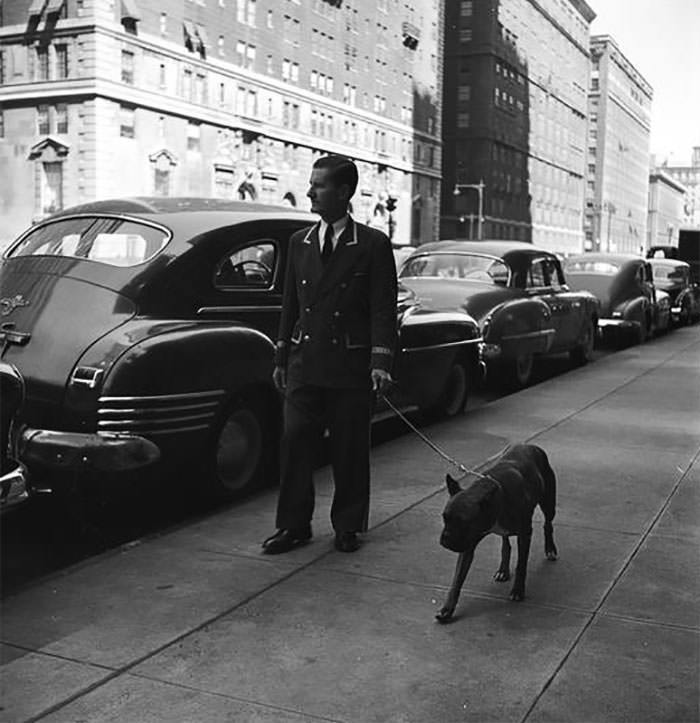 #30 A doorman walking a dog, 1949.