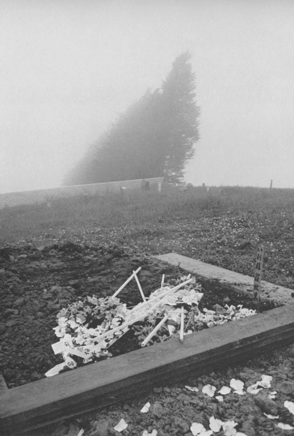 #56 Chinese cemetery — San Francisco, 1956