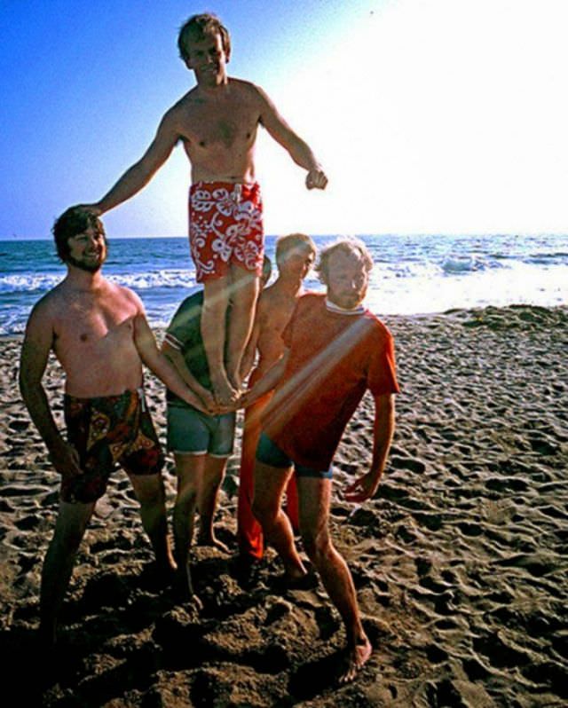 #10 The Beach Boys, 1966