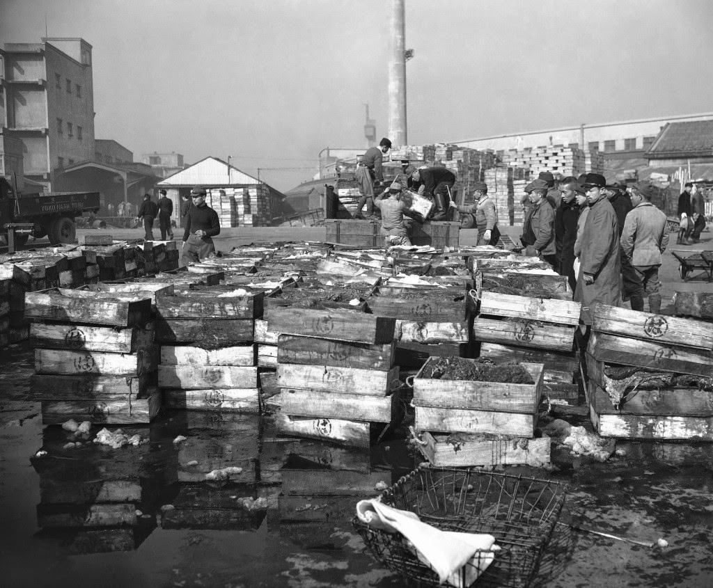 #92 Whale meat is piled on the wharves as the Banshu-Maru is unloaded after its return from the Antarctic in Tokyo, 1948.