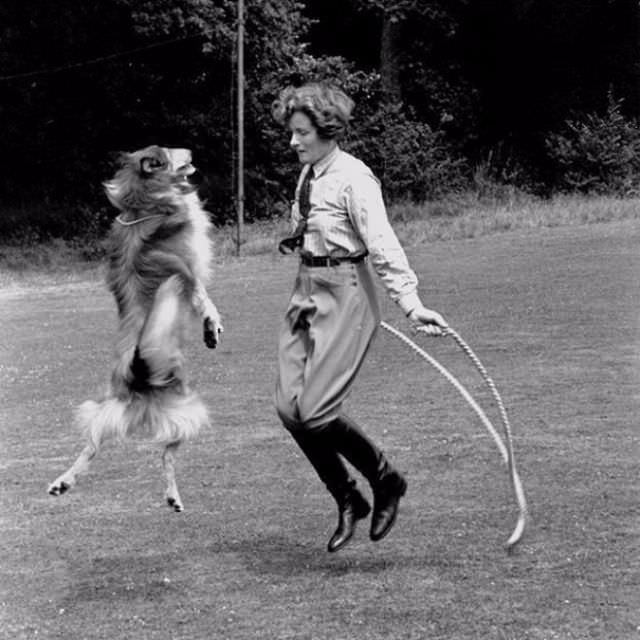 #6 Because taking your dog for a walk was getting boring.