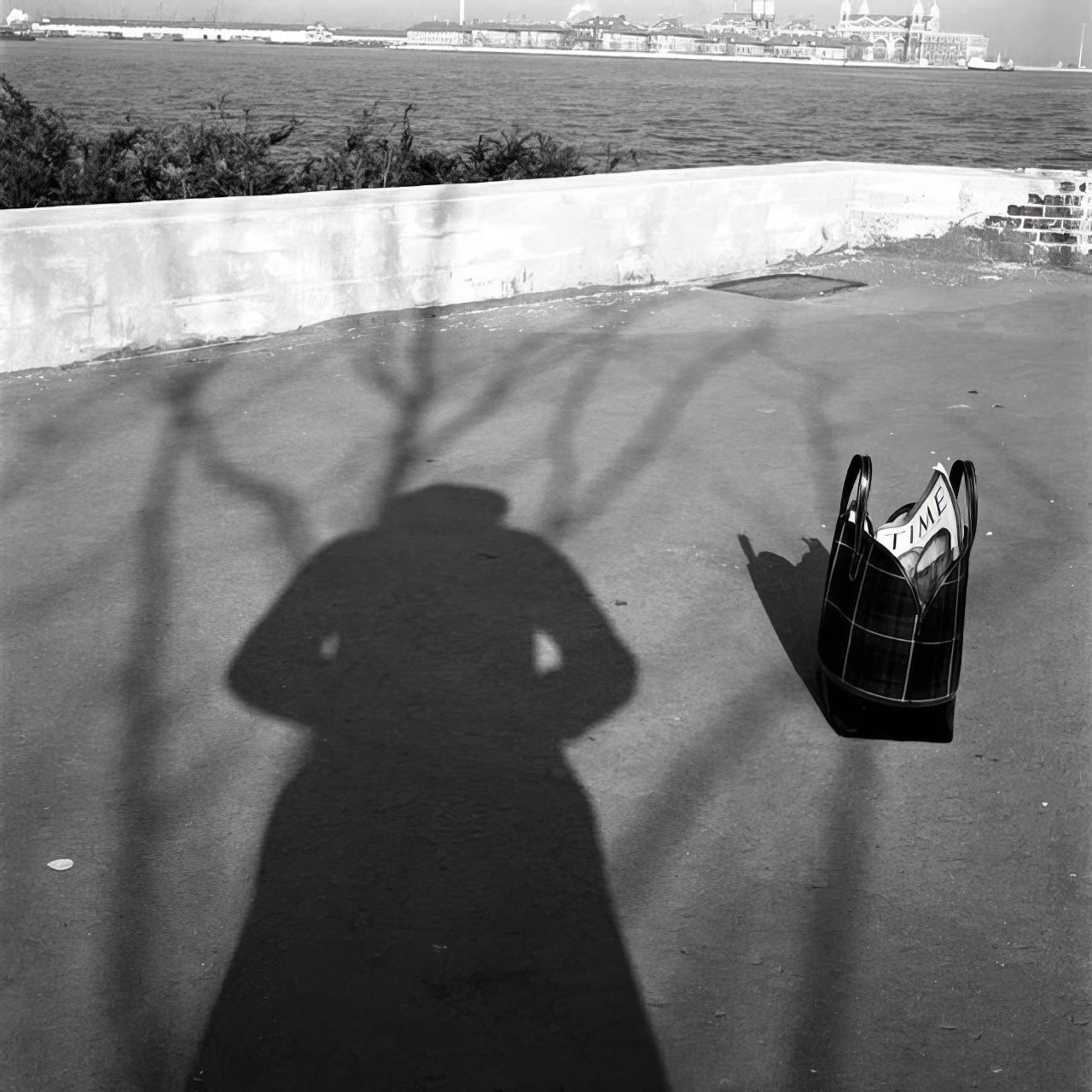 #34 Stunning and Creative Self-Portraits by Vivian Maier that Redefine the Selfie #34 Photography