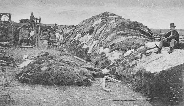 “Rath &; Wright’s buffalo hide yard in 1878, showing 40,000 buffalo hides, Dodge City, Kansas.”