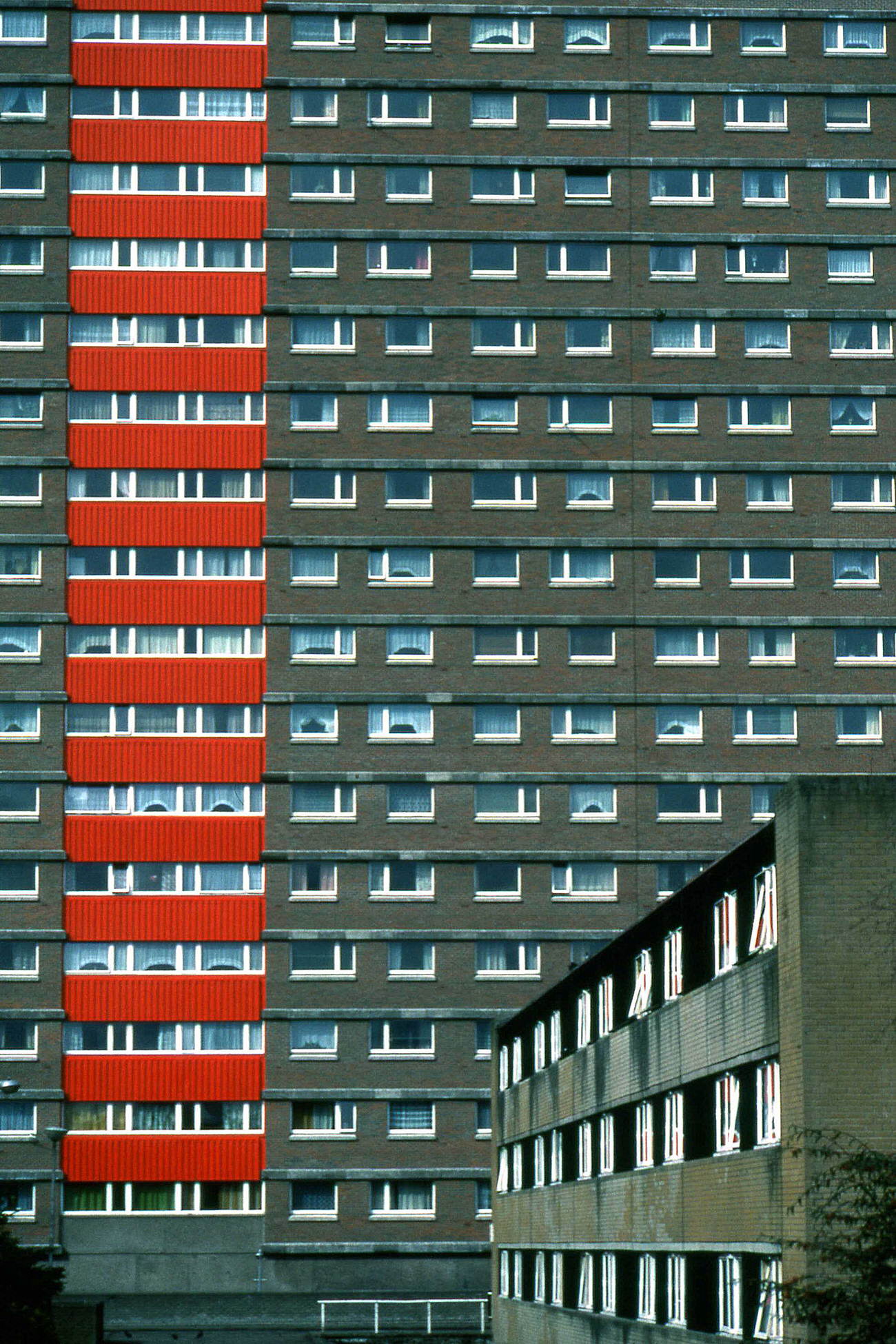 #41 Butterburn Court, 1985