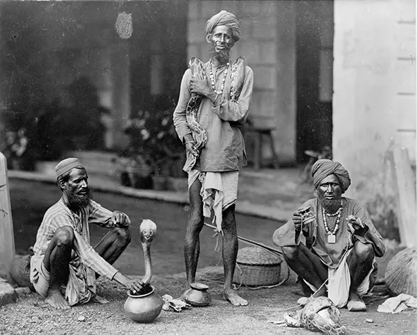 #28 Snake charmers in India, 1890-1900.