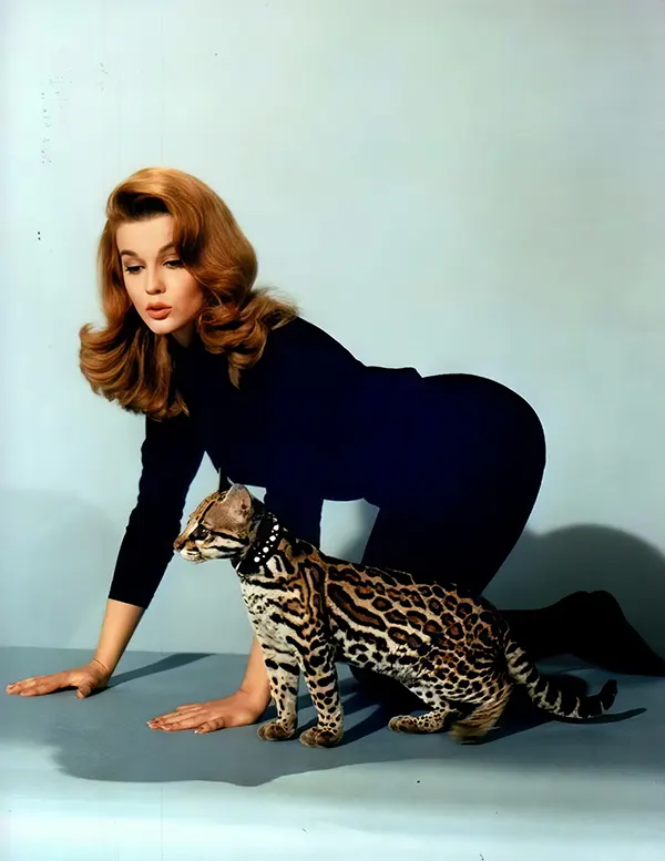 #32 Ann Margaret poses with a baby leopard, 1960s.