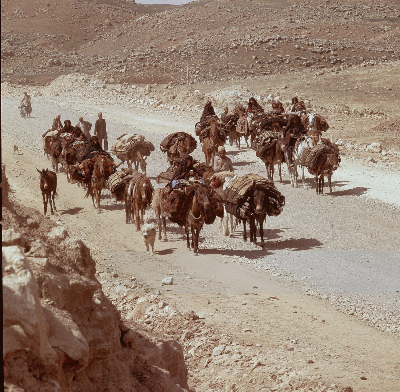 #10 A small group of nomads traveling with horses loaded with equipment on the long dirt road from Chatt-el-Arabe towards the high plateau of Sultanabad, Iran, 1960s.