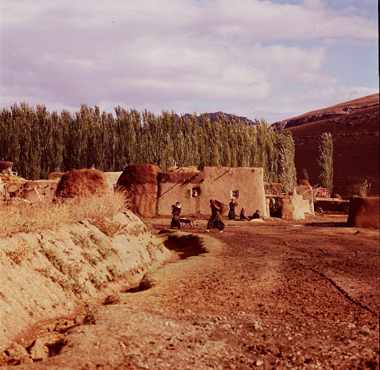 #82 Kurdish women working in a village south of Lake Rezaiyeh in the Azerbaijan area of Iran, 1960s.