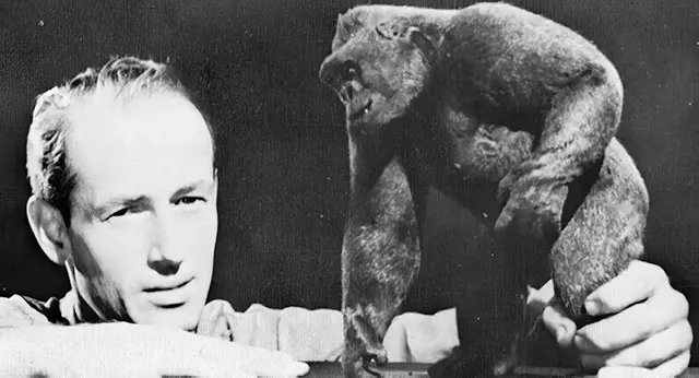 King Kong 1933: Stunning Behind-the-Scenes from the Making of Classic Horror Movies