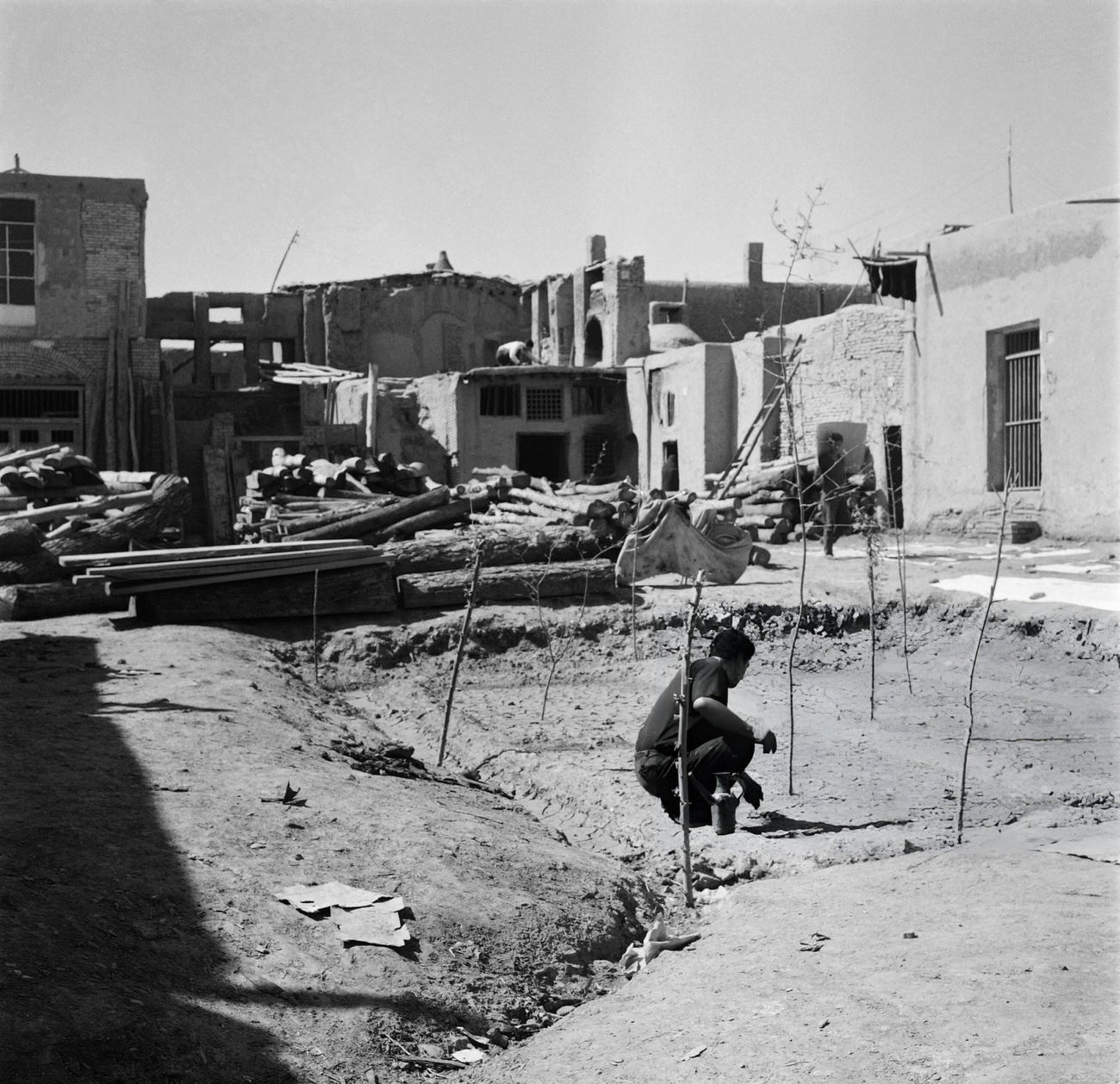#47 A man plants trees in a street of Tehran, 1968.