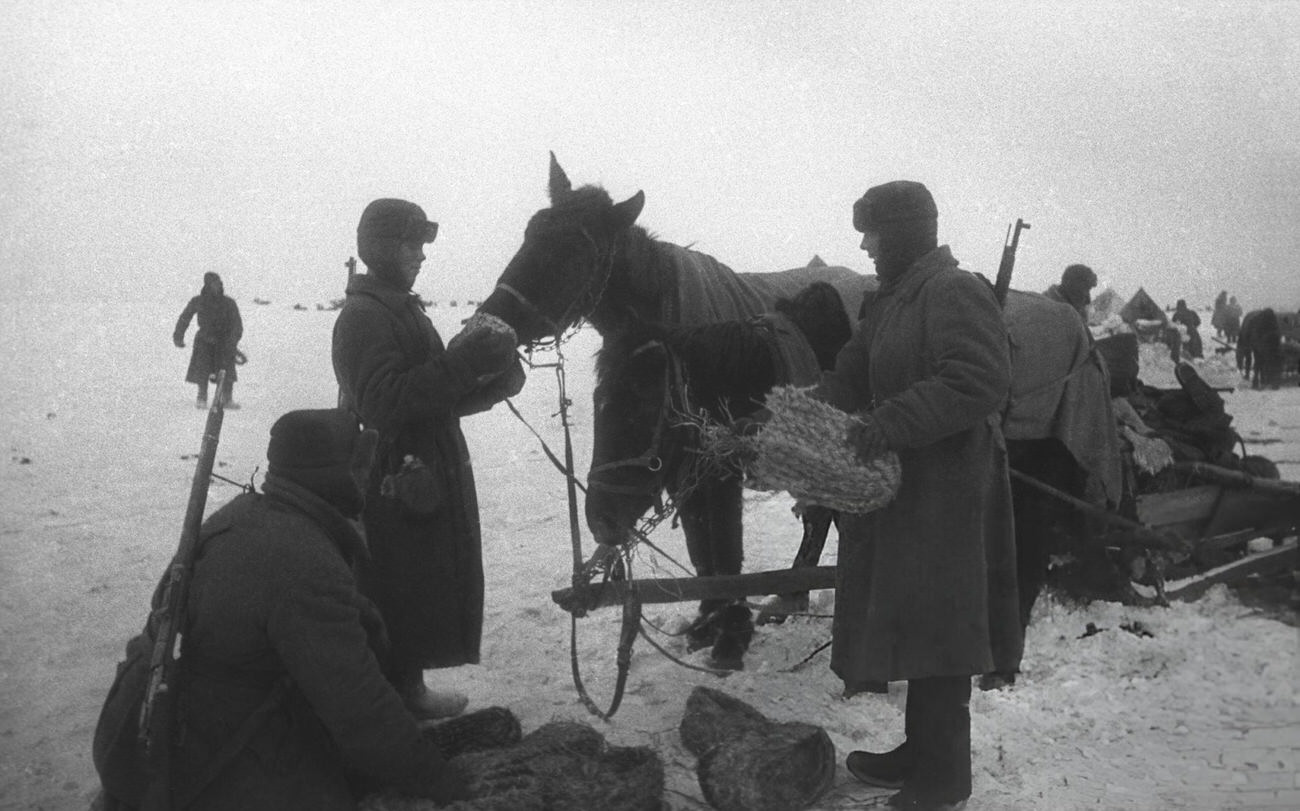 #39 Red Army soldiers stopping to feed their horses captured German ‘boots’, 1942.