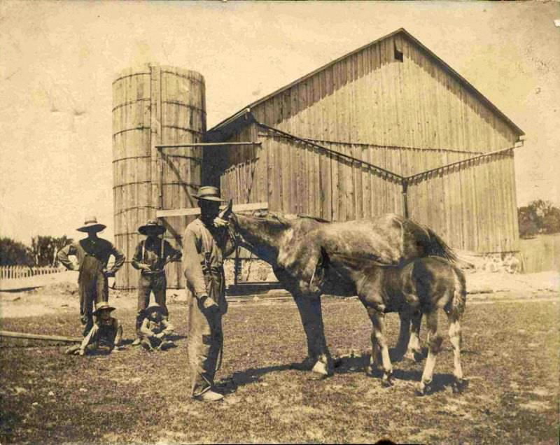 #15 Down on the farm, somewhere in Toronto