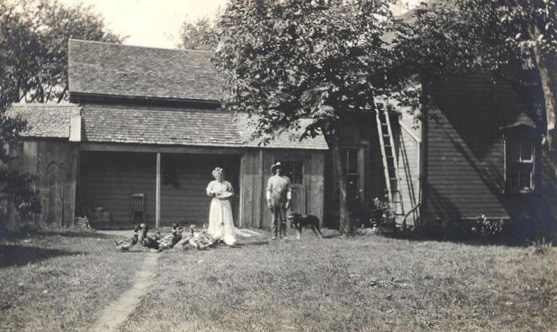 #17 Feeding the ducks at home, possibly in Goderich or Blyth area of Huron County, Ontario,