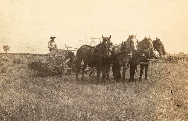 #18 Four horse hitch and binder