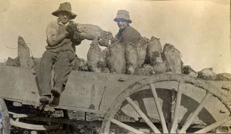 #3 Two Canadian men after harvesting, Culloden, Ontario