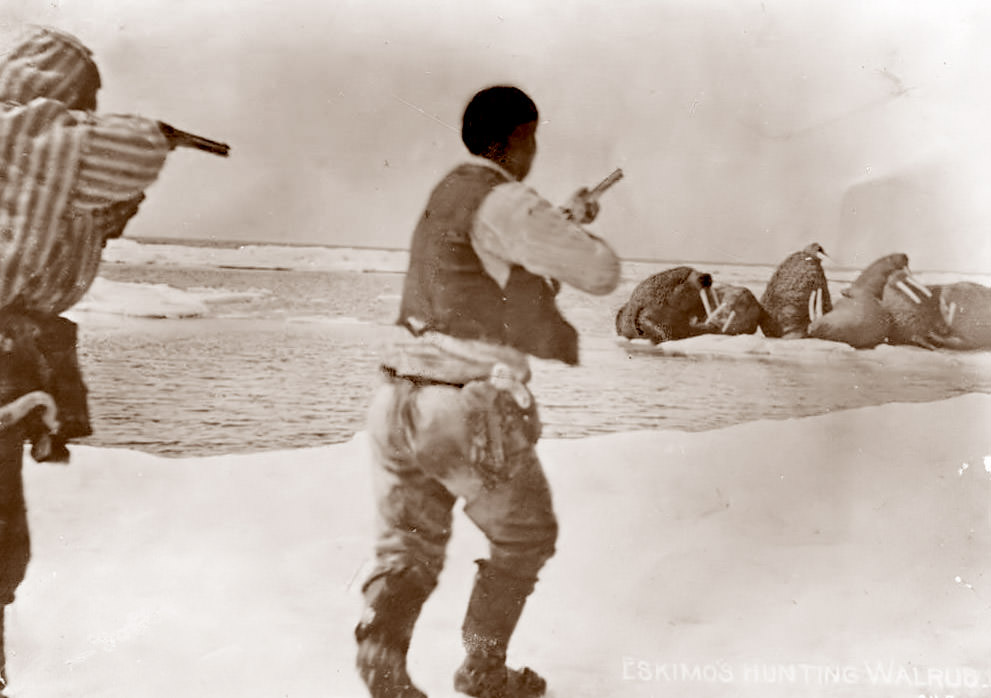 #5 A couple of Eskimo Men hunting Walrus, 1920