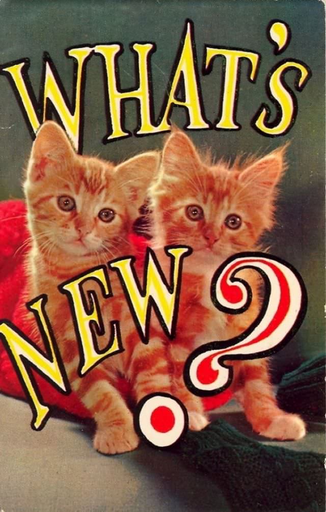 #22 “Wish You Were Here… To Witness This Awkwardness!”: A Journey Through Hilariously Bad Vintage Postcards #22