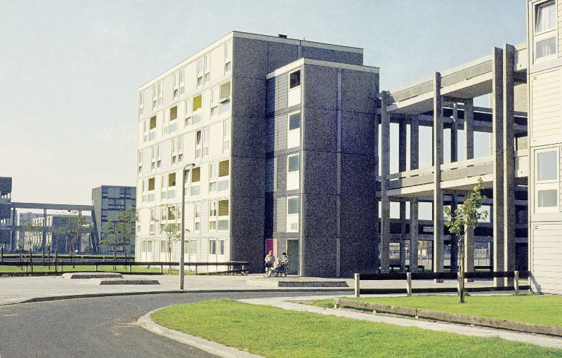 #3 Blanshard Walk, 1972.