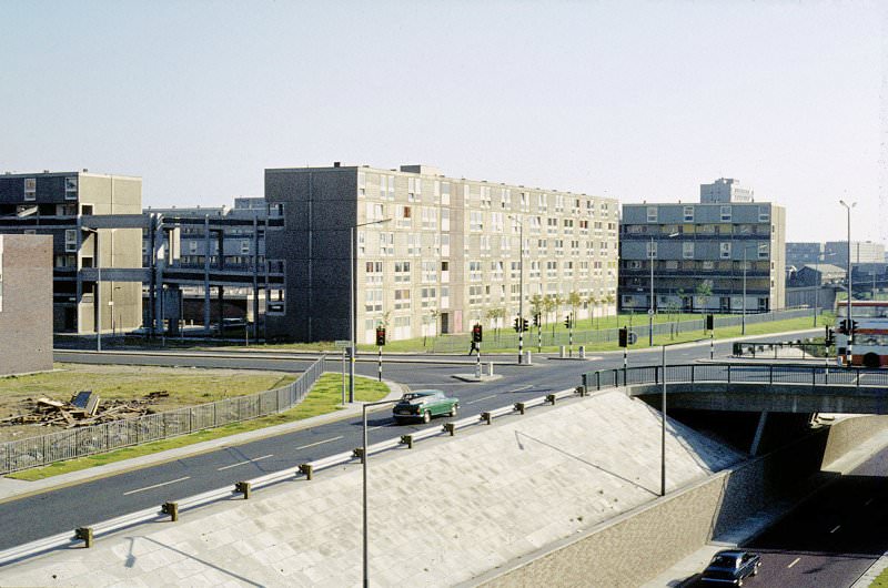 #50 Poynton Close, 1972.