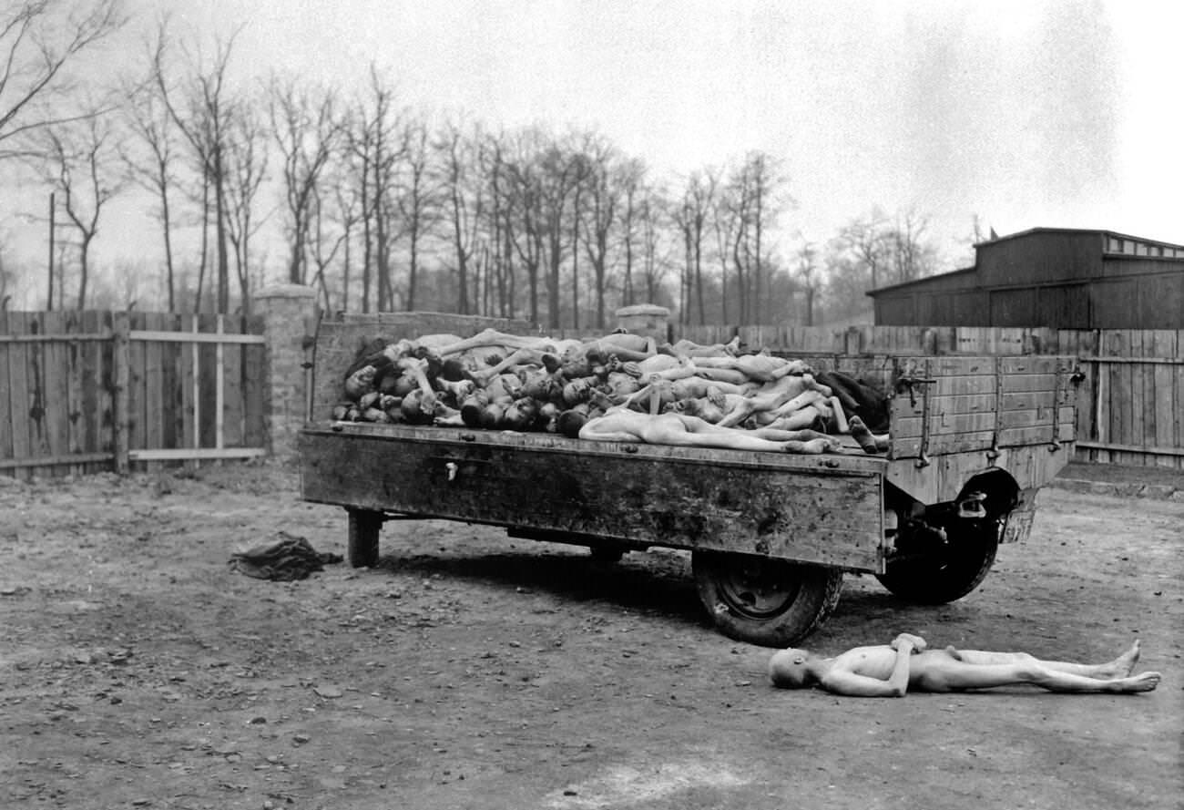 #22 Buchenwald concentration camp – The Image shows dead bodies of those that were held captive as prisoners of war, 1945.