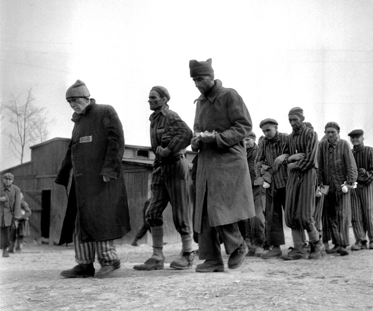 #27 Weak and ill survivors of the Nazi concentration camp in Buchenwald march towards the infirmary, after the liberation of the camp by Allied troops, 1945.