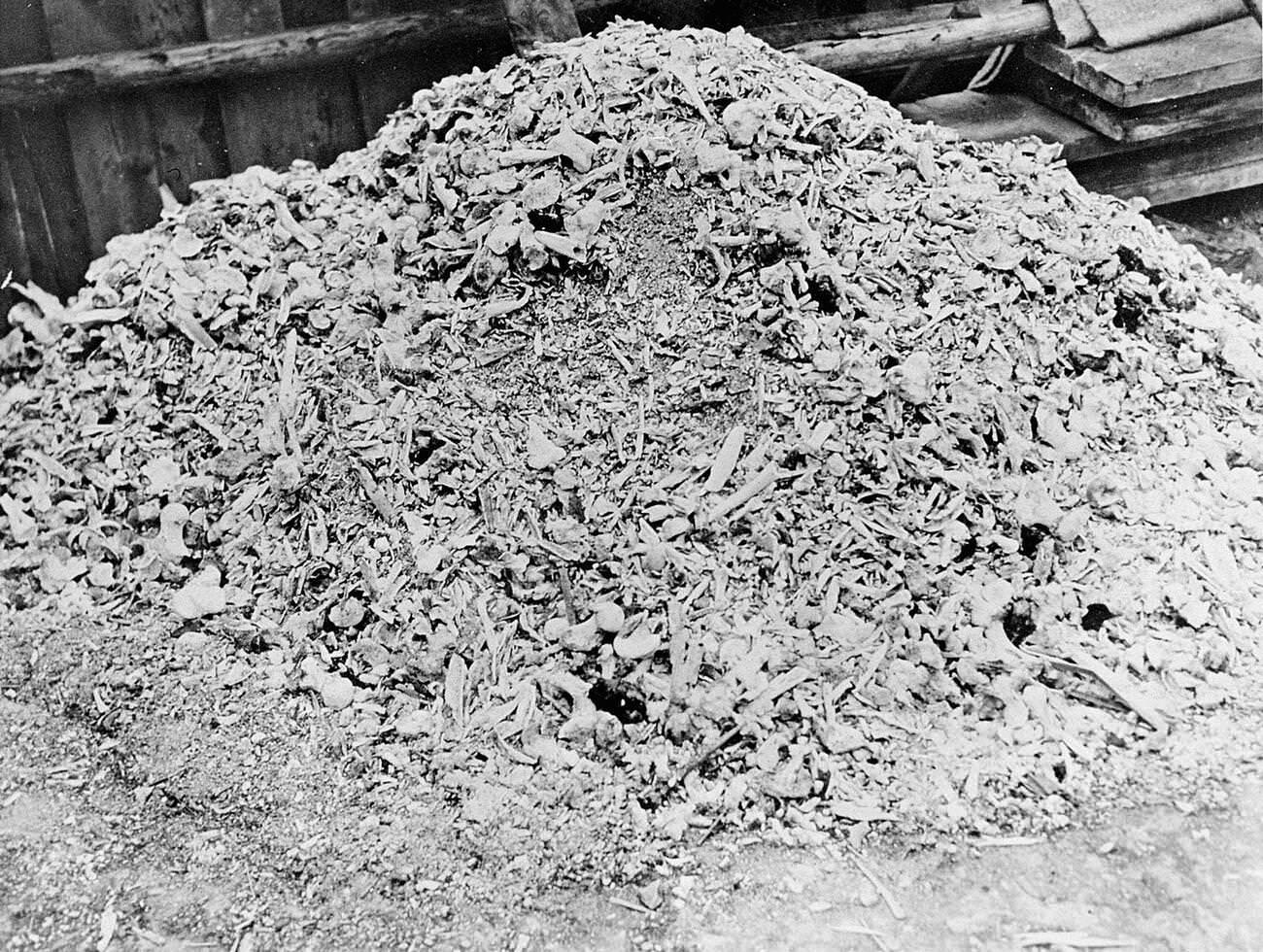 #5 A heap of ash and bones from the crematoria at Buchenwald concentration camp, 1945.